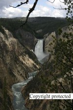 Enlarge photo 54