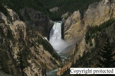 Enlarge photo 57