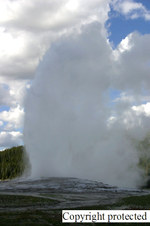 Enlarge photo 59