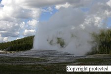 Enlarge photo 60