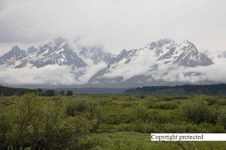 Enlarge photo 25