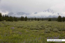 Enlarge photo 26