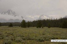 Enlarge photo 27