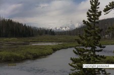 Enlarge photo 30