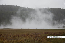 Enlarge photo 35