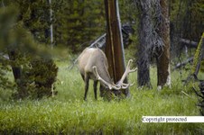 Enlarge photo 37