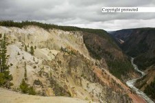 Enlarge photo 45