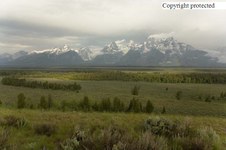 Enlarge photo 1