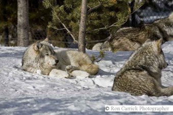Enlarge photo 19