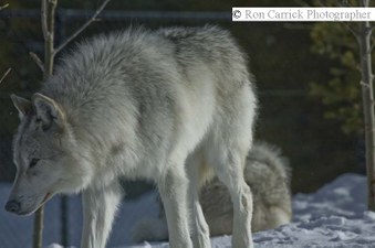 Enlarge photo 18