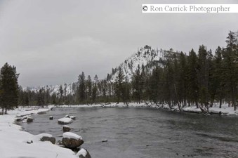 Enlarge photo 61