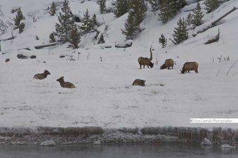 Enlarge photo 28