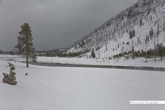 Enlarge photo 29