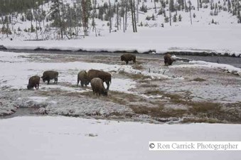 Enlarge photo 37