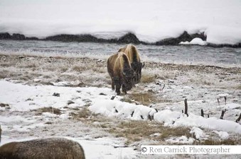 Enlarge photo 44