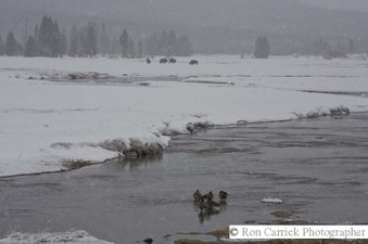 Enlarge photo 50