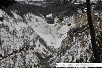Enlarge photo 52