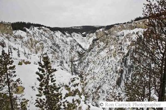 Enlarge photo 53