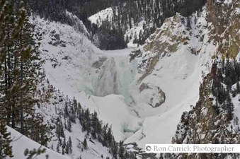 Enlarge photo 60