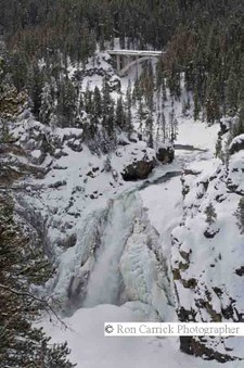 Enlarge photo 64