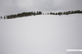 Enlarge photo 71