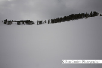 Enlarge photo 73