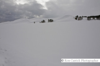 Enlarge photo 74
