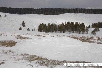 Enlarge photo 75