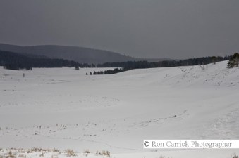 Enlarge photo 76
