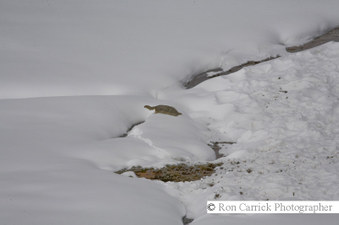 Enlarge photo 92