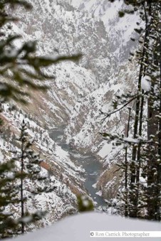 Enlarge photo 111