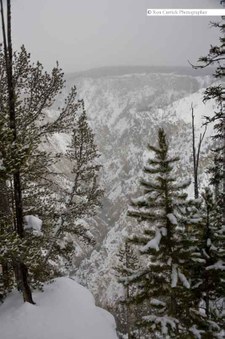 Enlarge photo 117