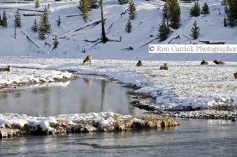 Enlarge photo 122