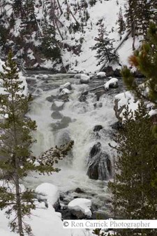 Enlarge photo 127