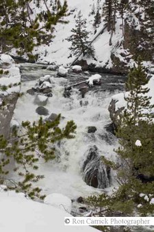 Enlarge photo 130