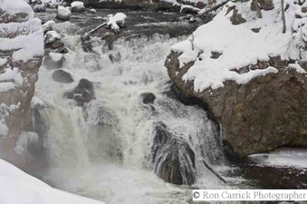 Enlarge photo 131
