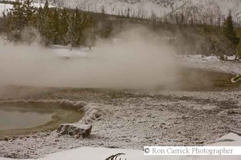 Enlarge photo 159