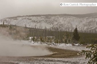 Enlarge photo 160