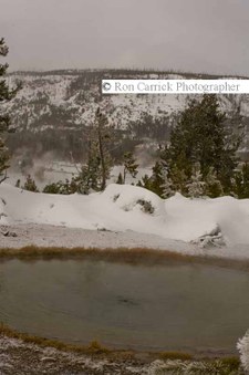 Enlarge photo 161
