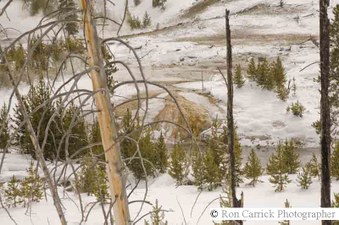 Enlarge photo 163