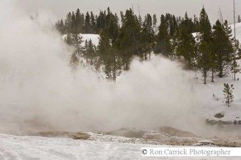 Enlarge photo 168