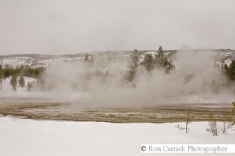 Enlarge photo 170