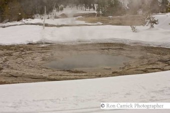 Enlarge photo 171