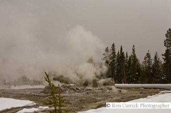Enlarge photo 172