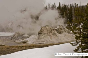 Enlarge photo 173