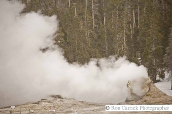 Enlarge photo 175