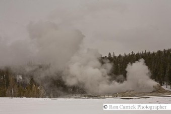 Enlarge photo 176