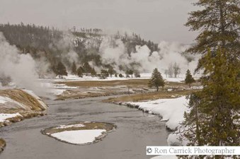 Enlarge photo 177