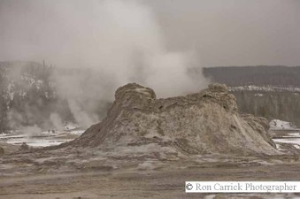 Enlarge photo 178