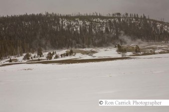 Enlarge photo 180
